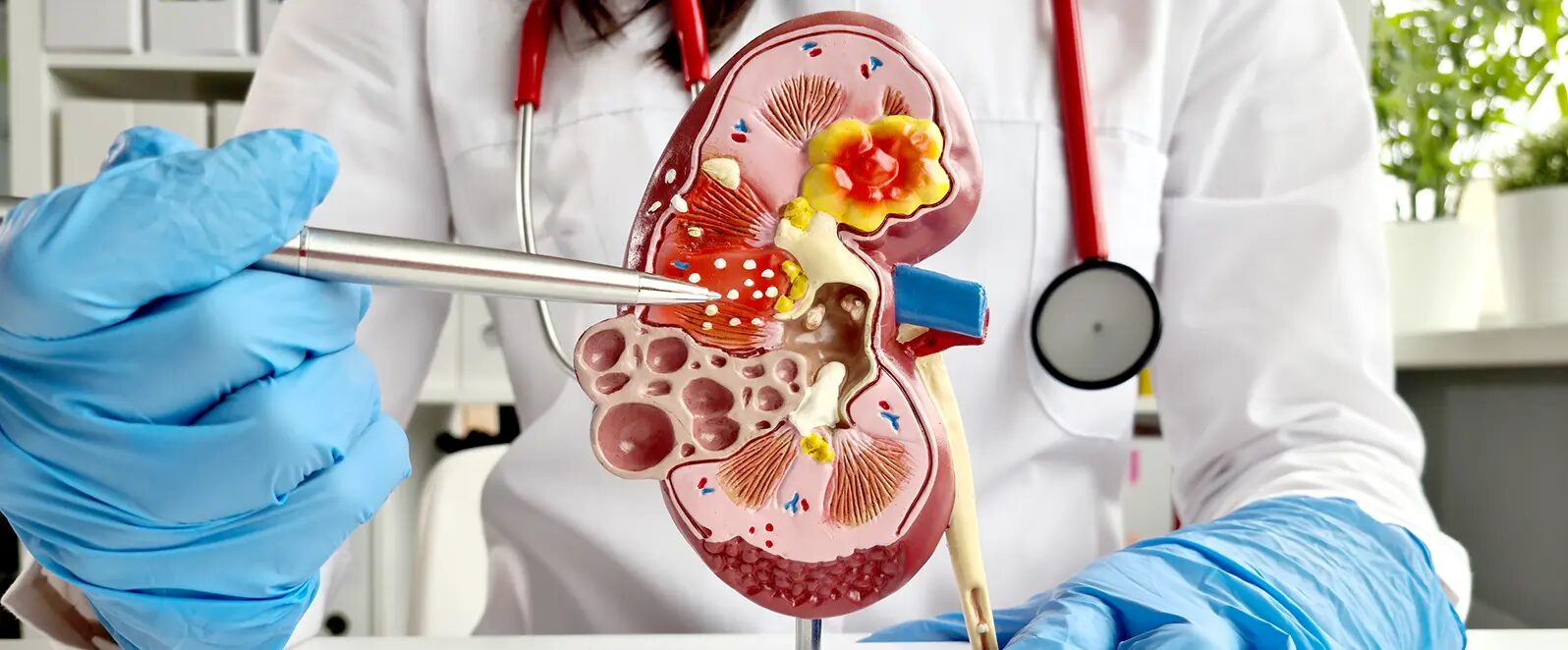 Nephrology at Hargreaves Hospital, Mandeville